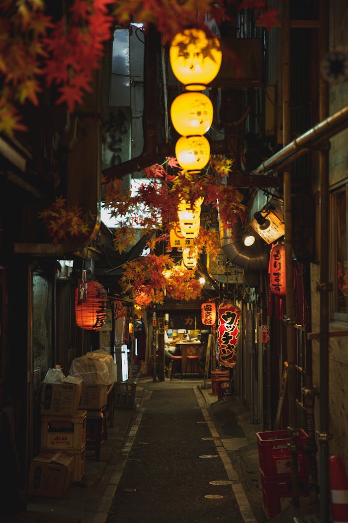 services-bg A narrow, atmospheric alley in Tokyo illuminated by traditional paper lanterns, capturing the essence of Japanese nightlife.