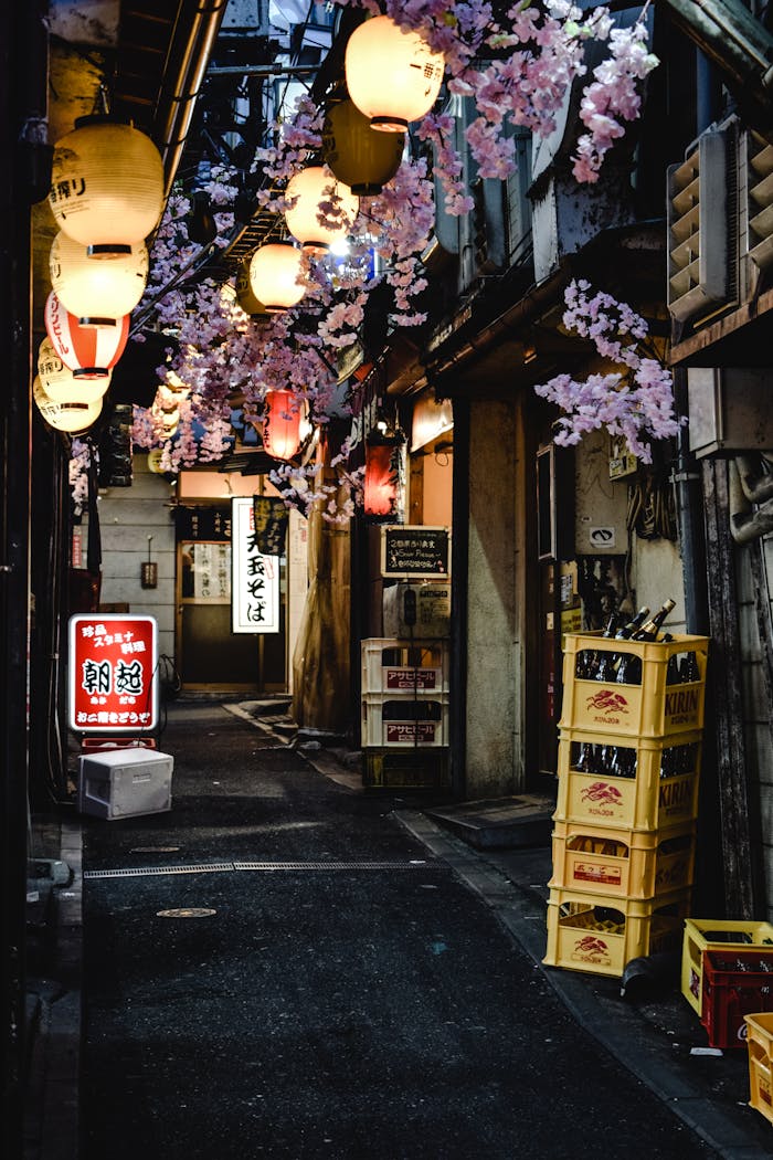 Services A narrow illuminated alley in Shinjuku, Tokyo, showcasing authentic Japanese nightlife with lanterns and crates.